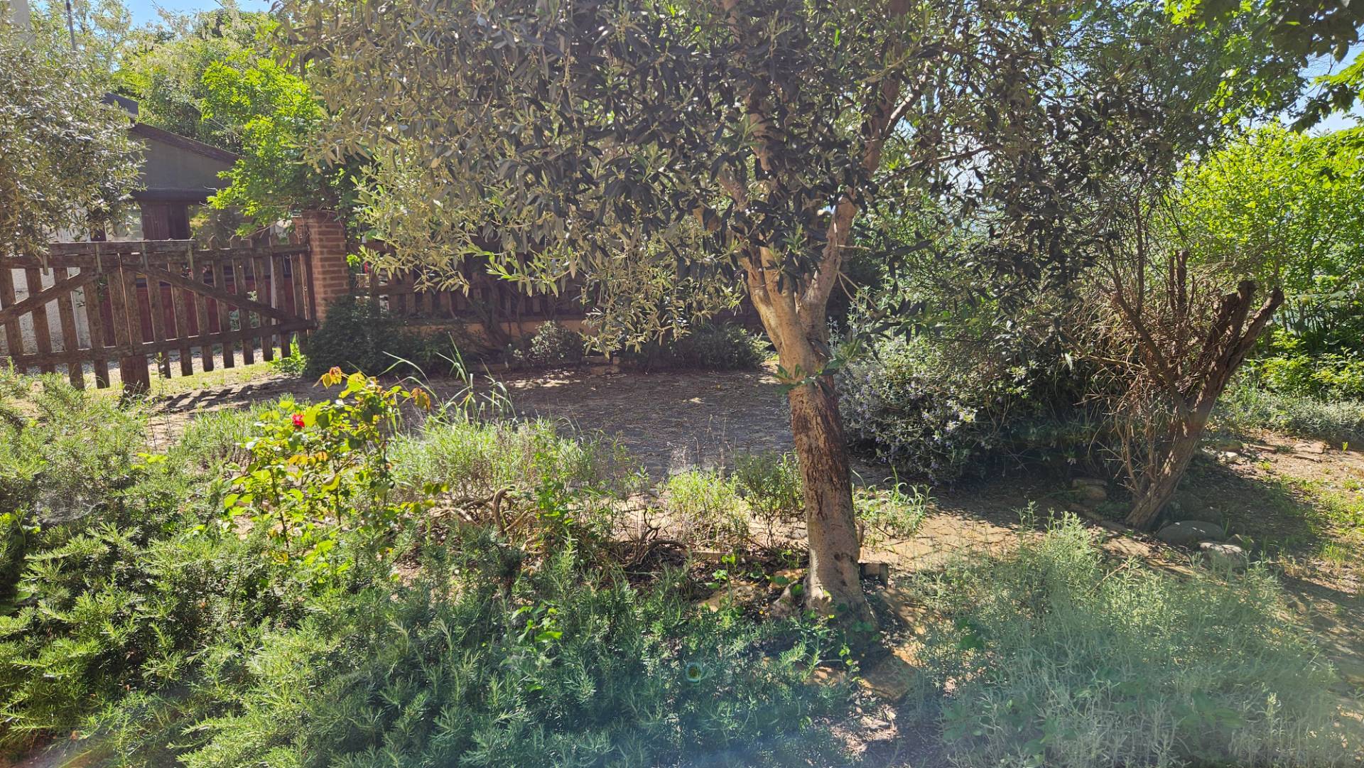 Casale abbinato in vendita a Colli al Metauro