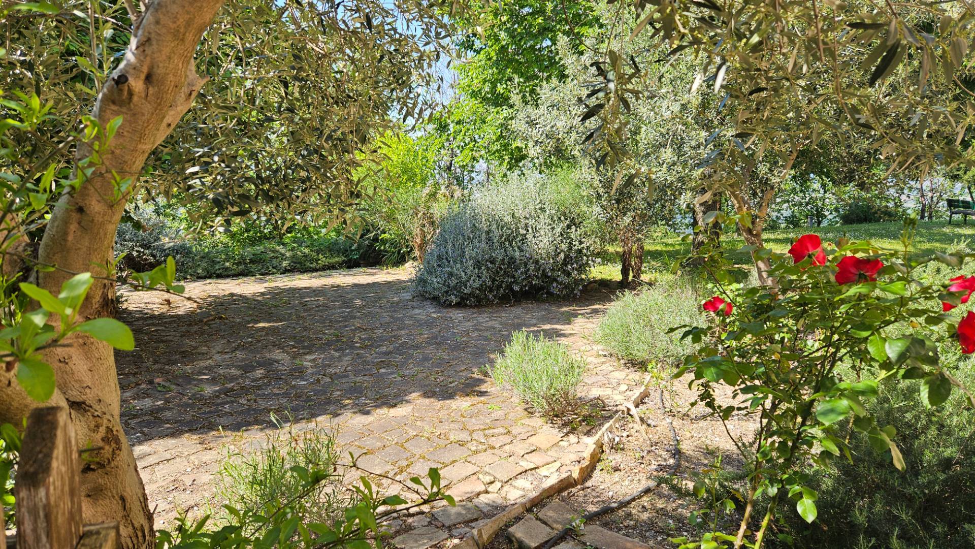 Casale abbinato in vendita a Colli al Metauro