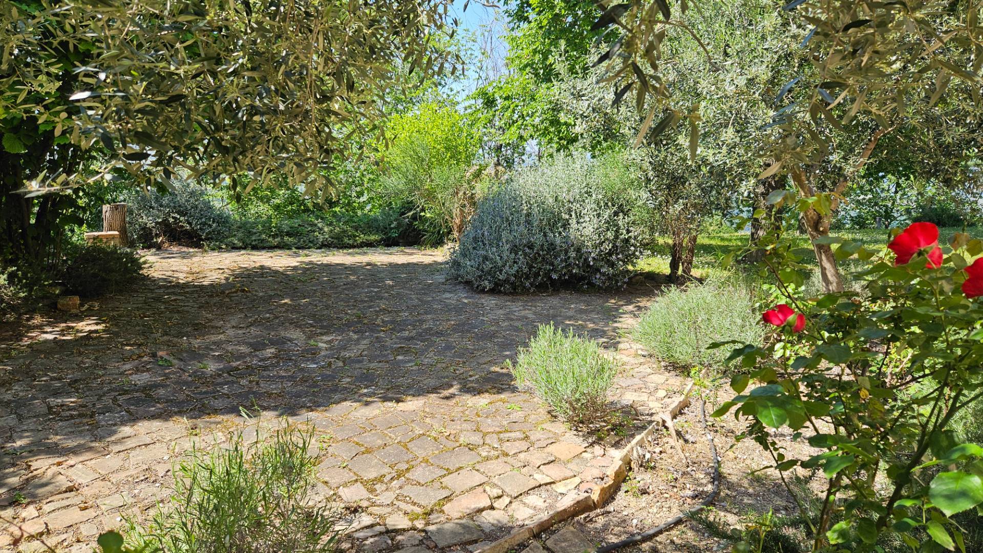Casale abbinato in vendita a Colli al Metauro