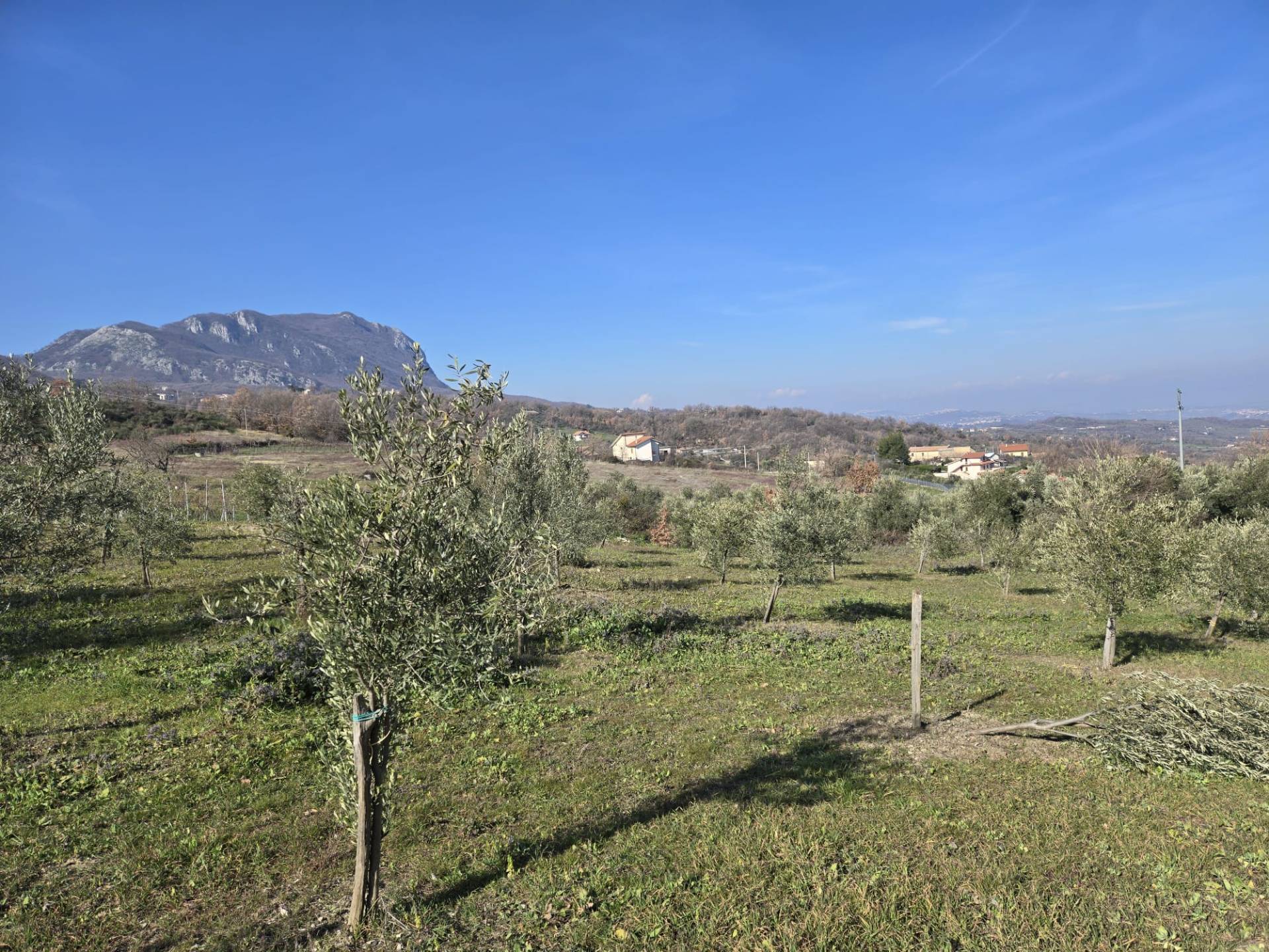 Terreno Agricolo in vendita a Montemarano