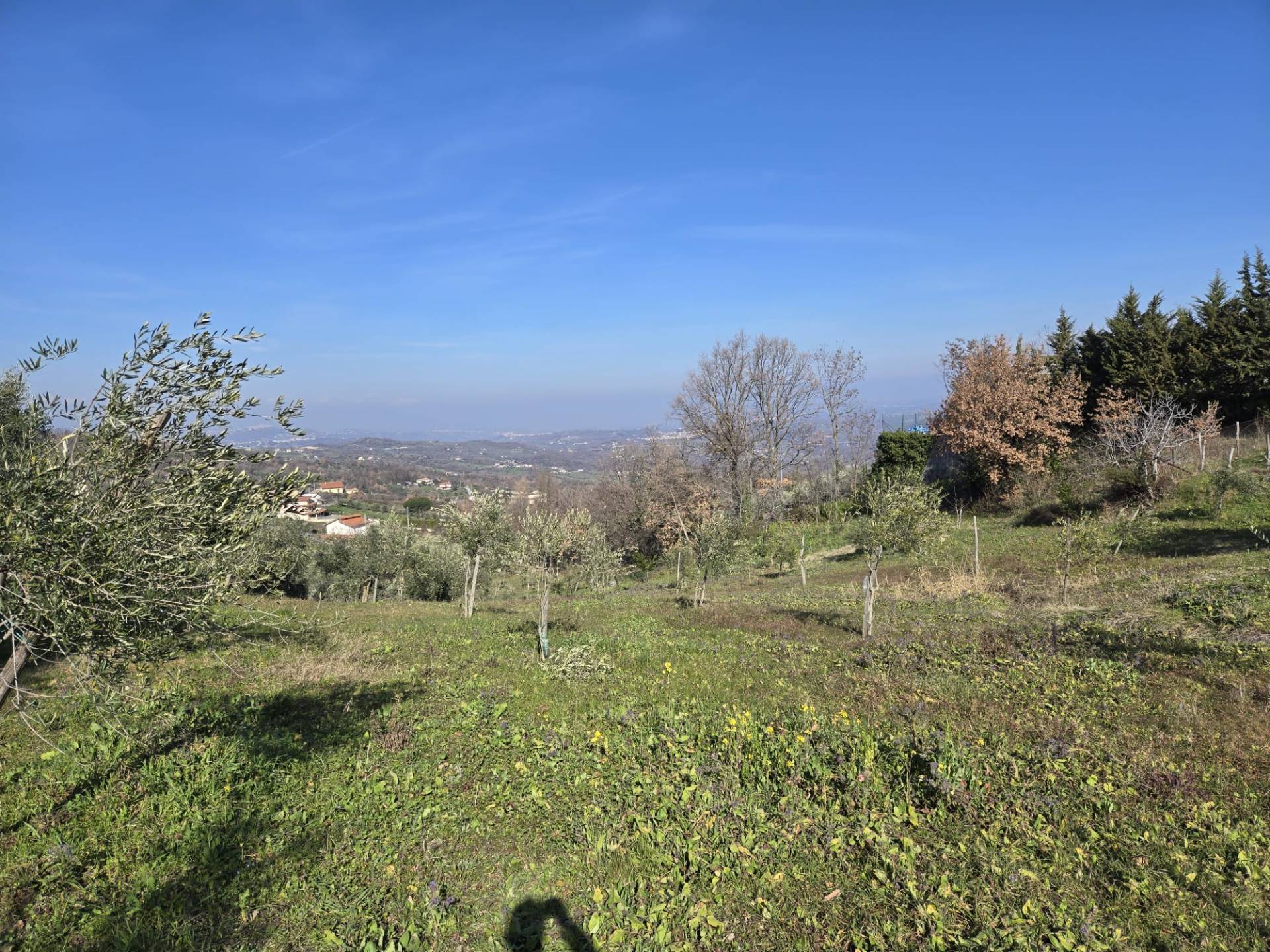 immagine annuncio 1 di 6