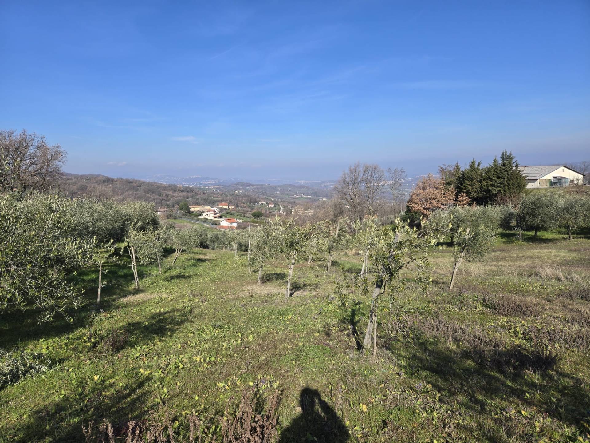 immagine annuncio 3 di 6