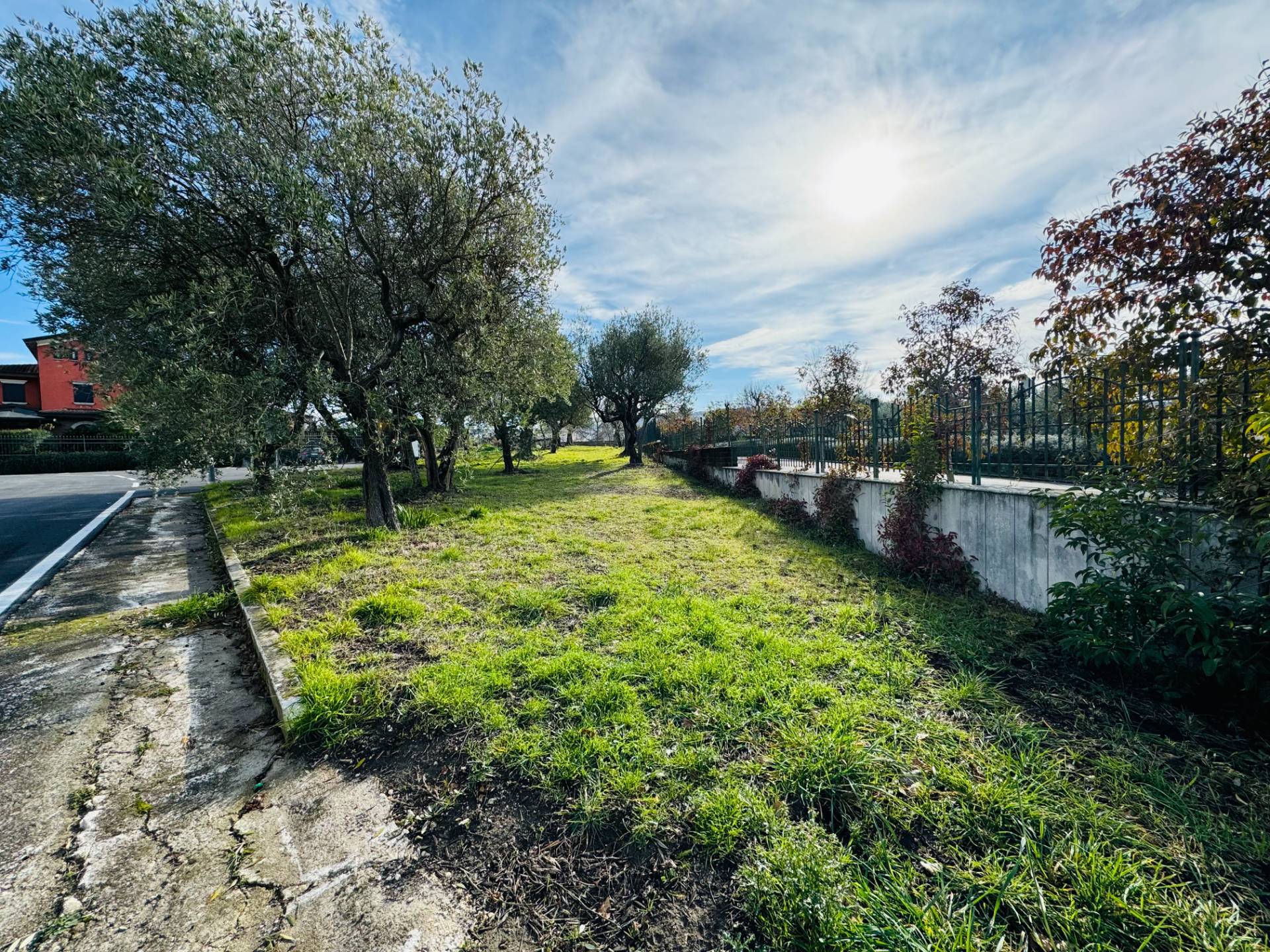 immagine annuncio 2 di 4