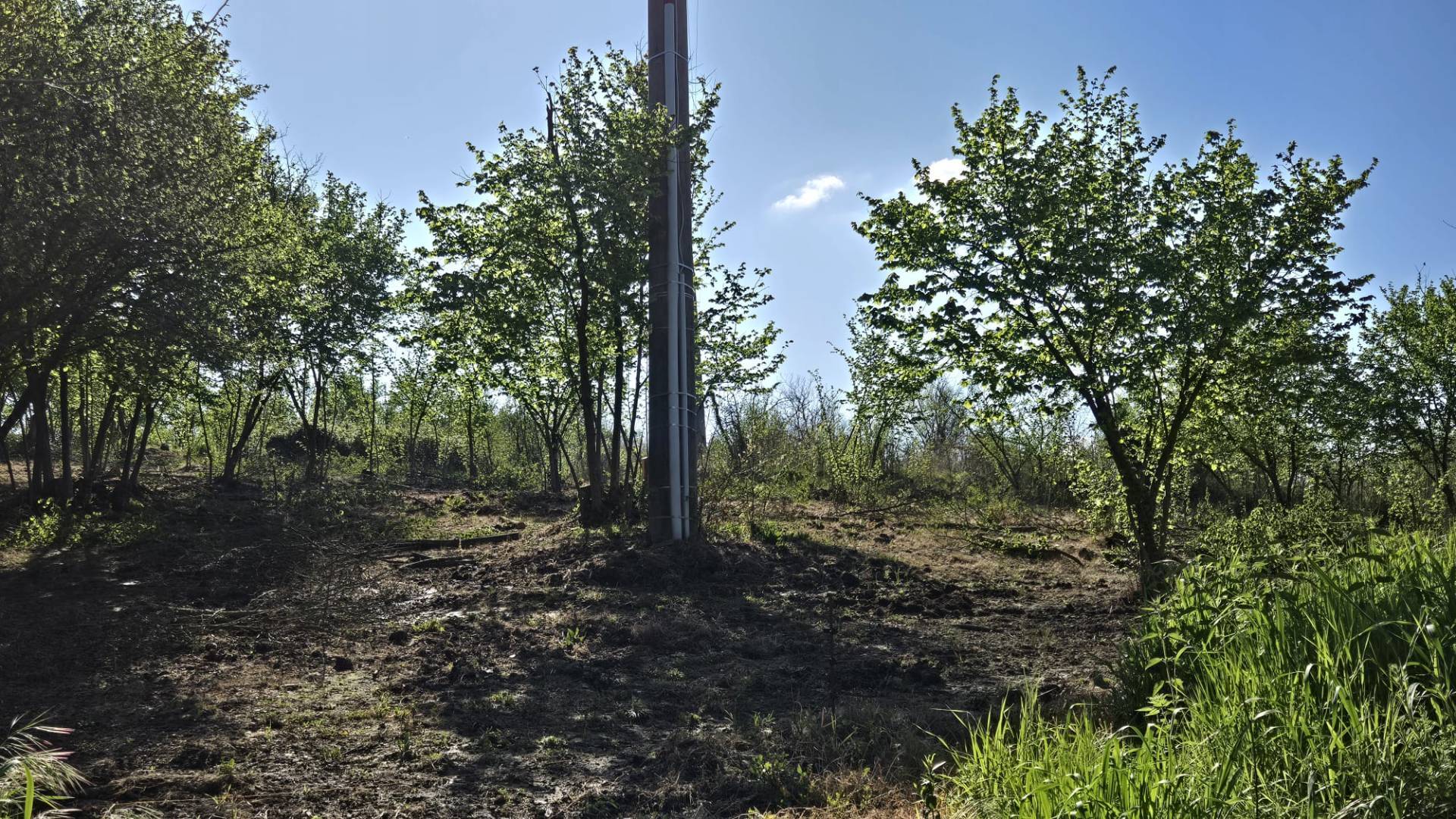 Terreno Agricolo in vendita a Pratola Serra