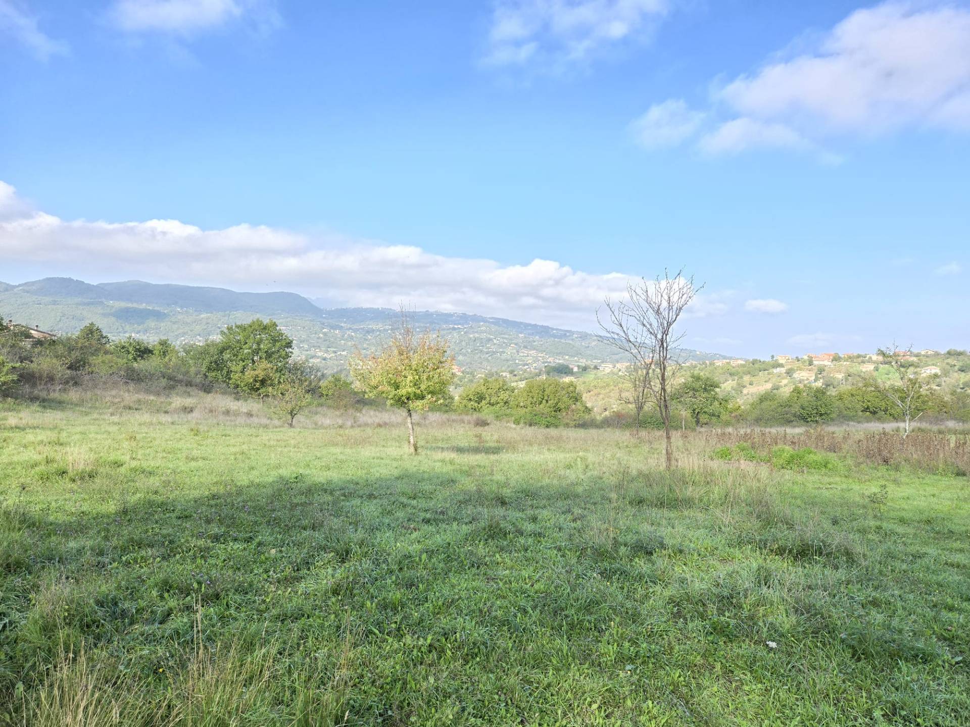Terreno Agricolo in vendita a Nusco