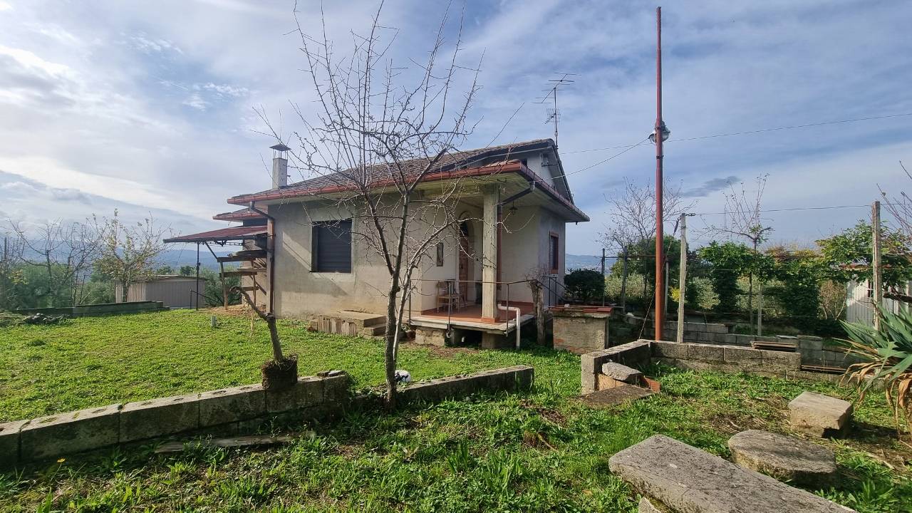 immagine annuncio 3 di 6