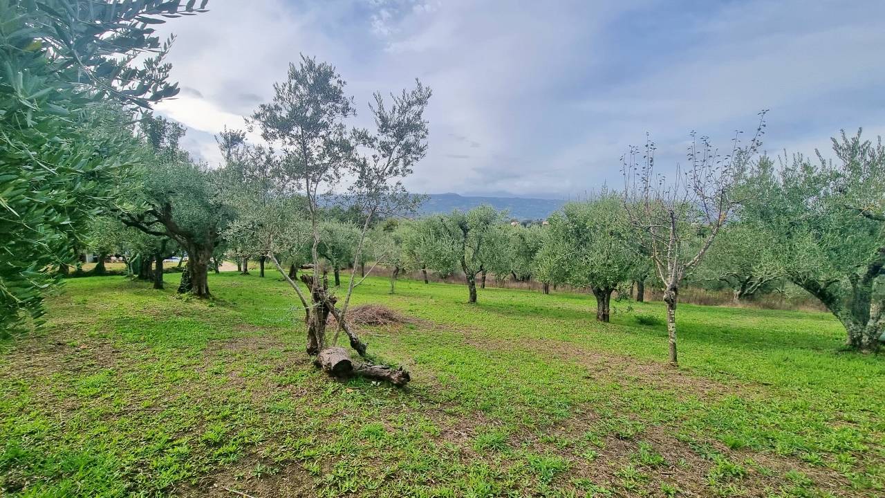 immagine annuncio 5 di 6