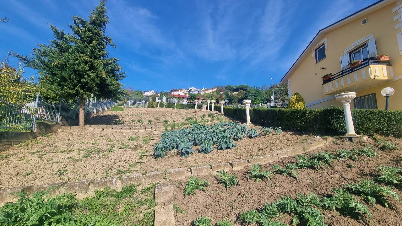 immagine annuncio 5 di 6