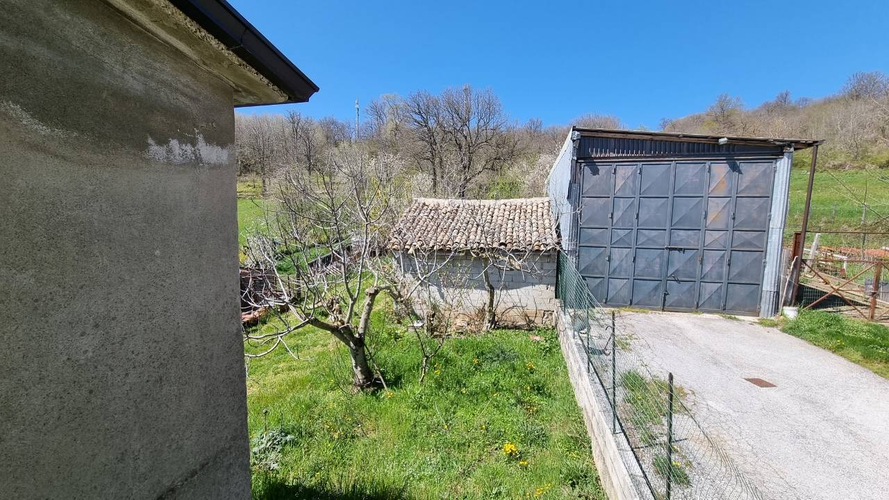 immagine annuncio 4 di 6