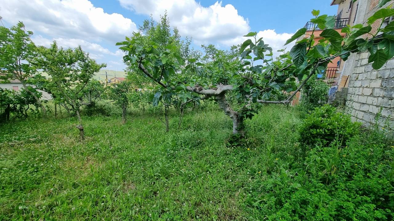 Casa Indipendente in vendita a Scampitella