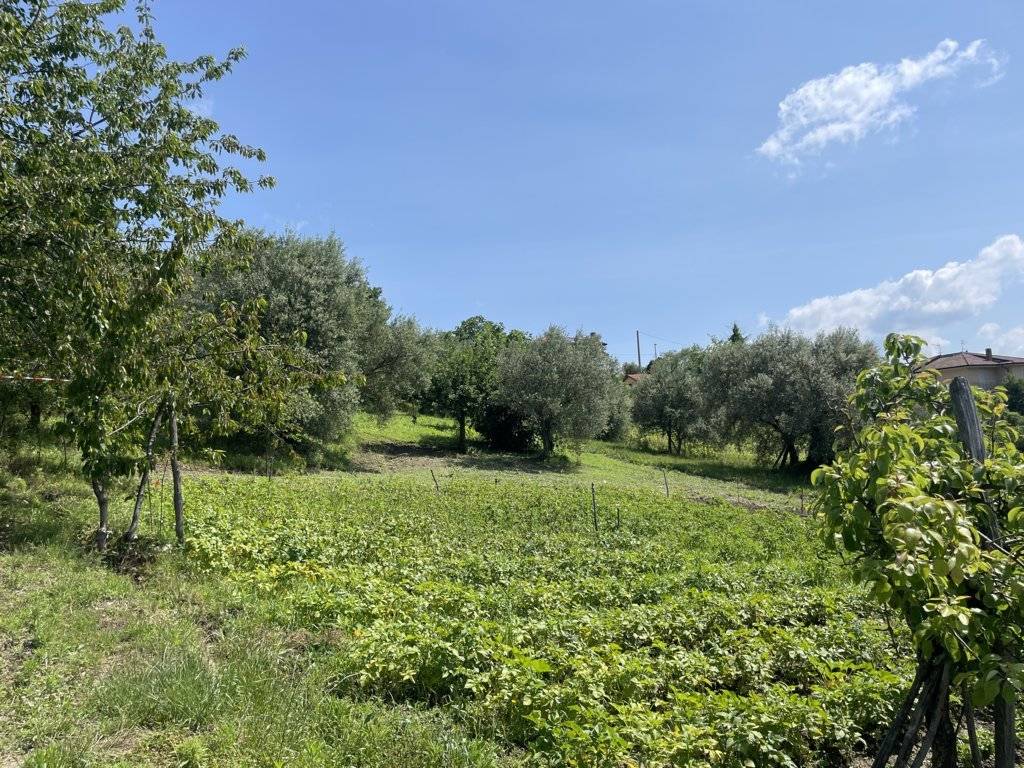 Casa Indipendente in vendita a Montemarano