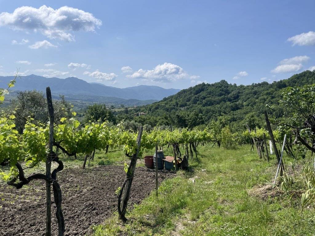 Casa Indipendente in vendita a Montemarano