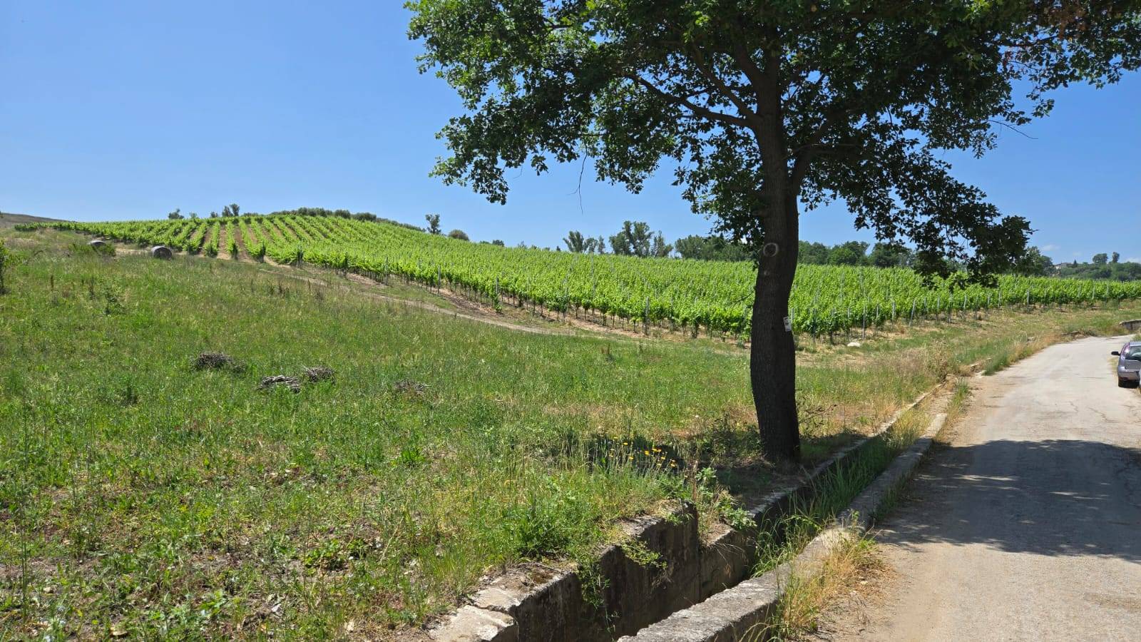 Terreno Agricolo in vendita a Paternopoli