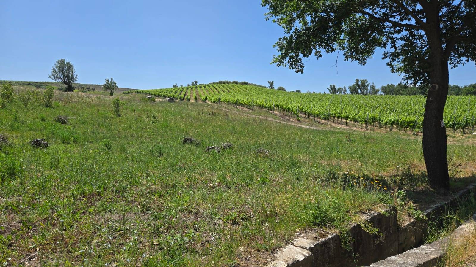 Terreno Agricolo in vendita a Paternopoli