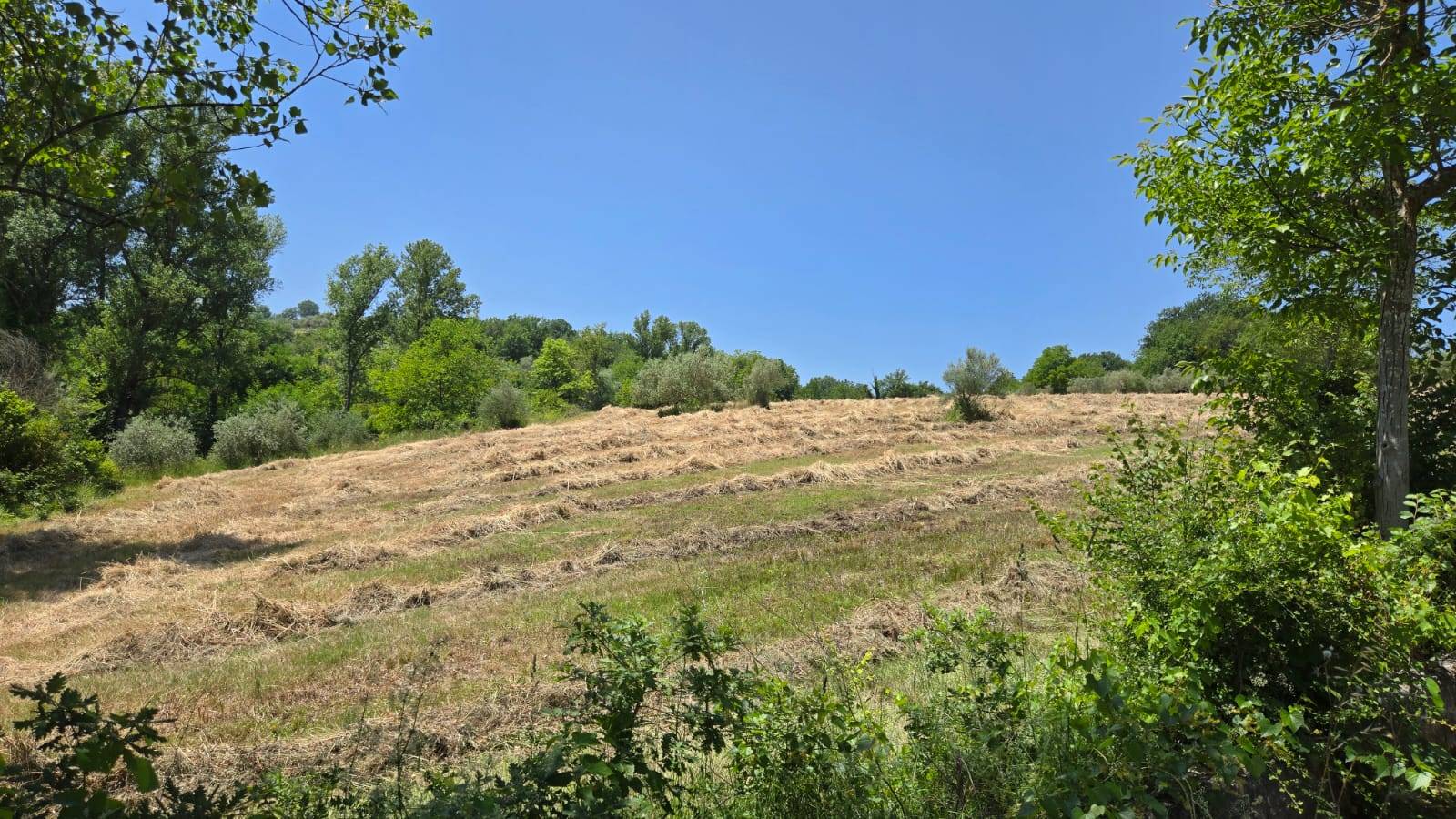 Terreno Agricolo in vendita a Paternopoli