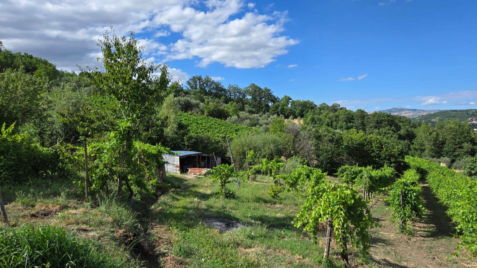 Villetta a schiera in vendita a Montemarano