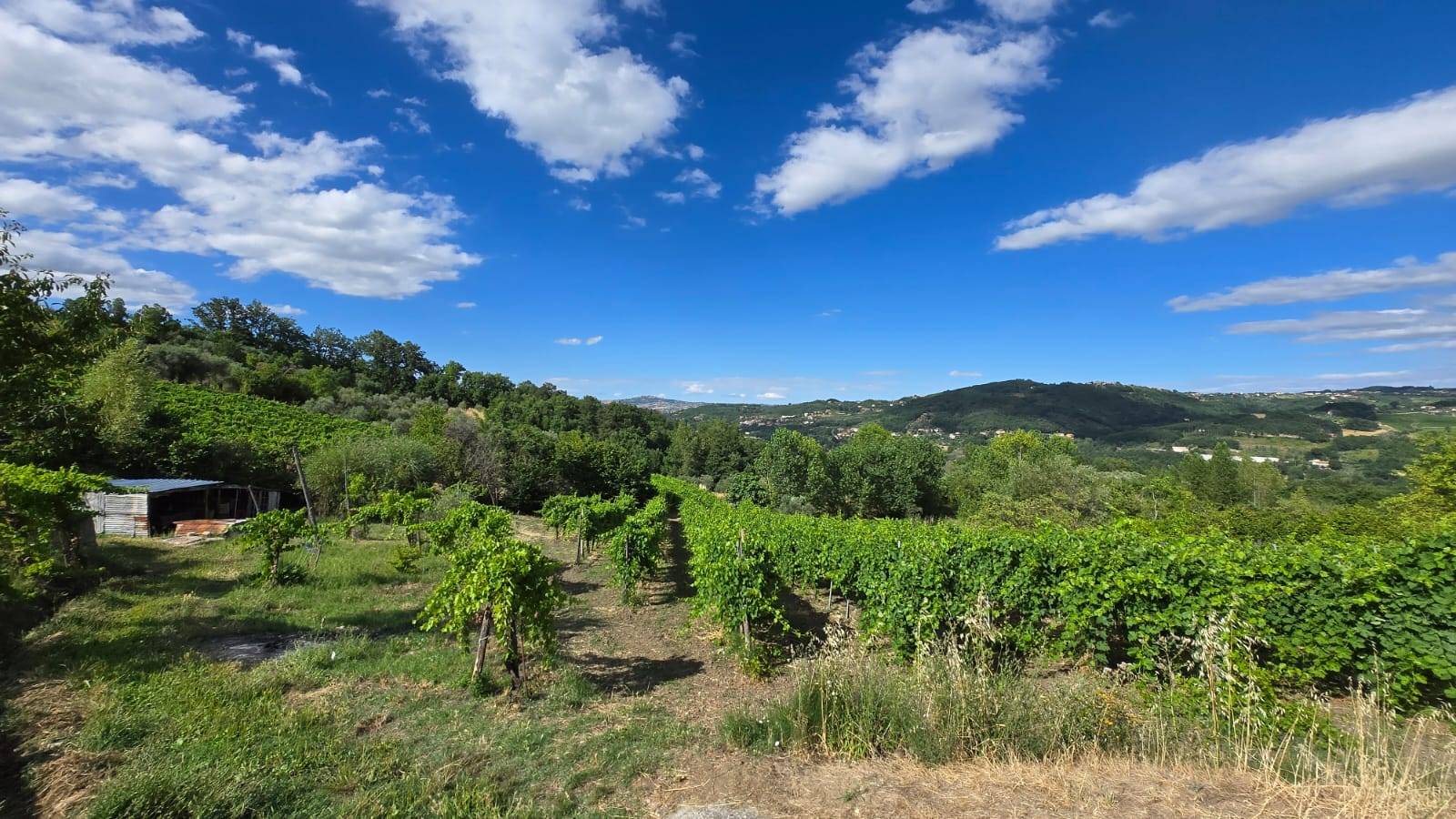 Villetta a schiera in vendita a Montemarano