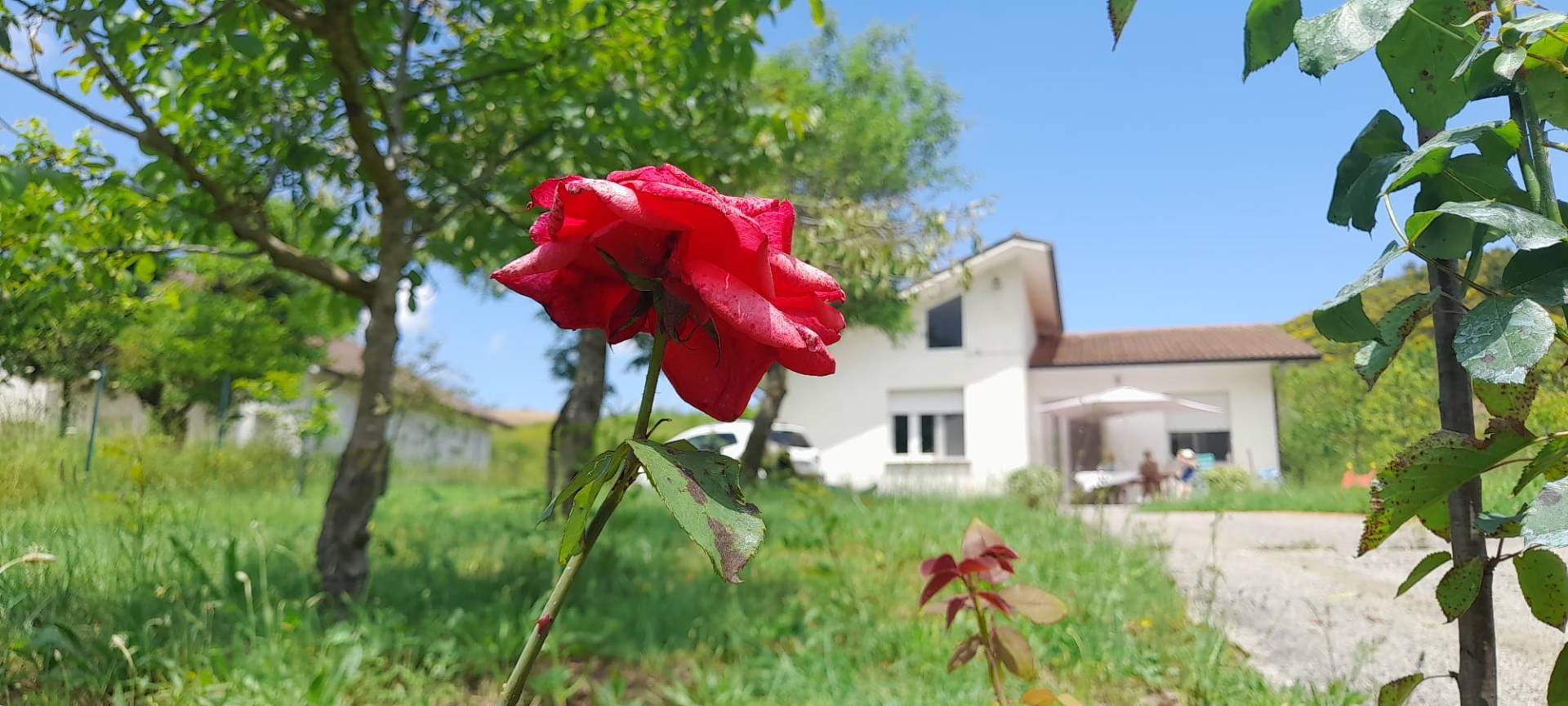 Villa in vendita a Vallesaccarda