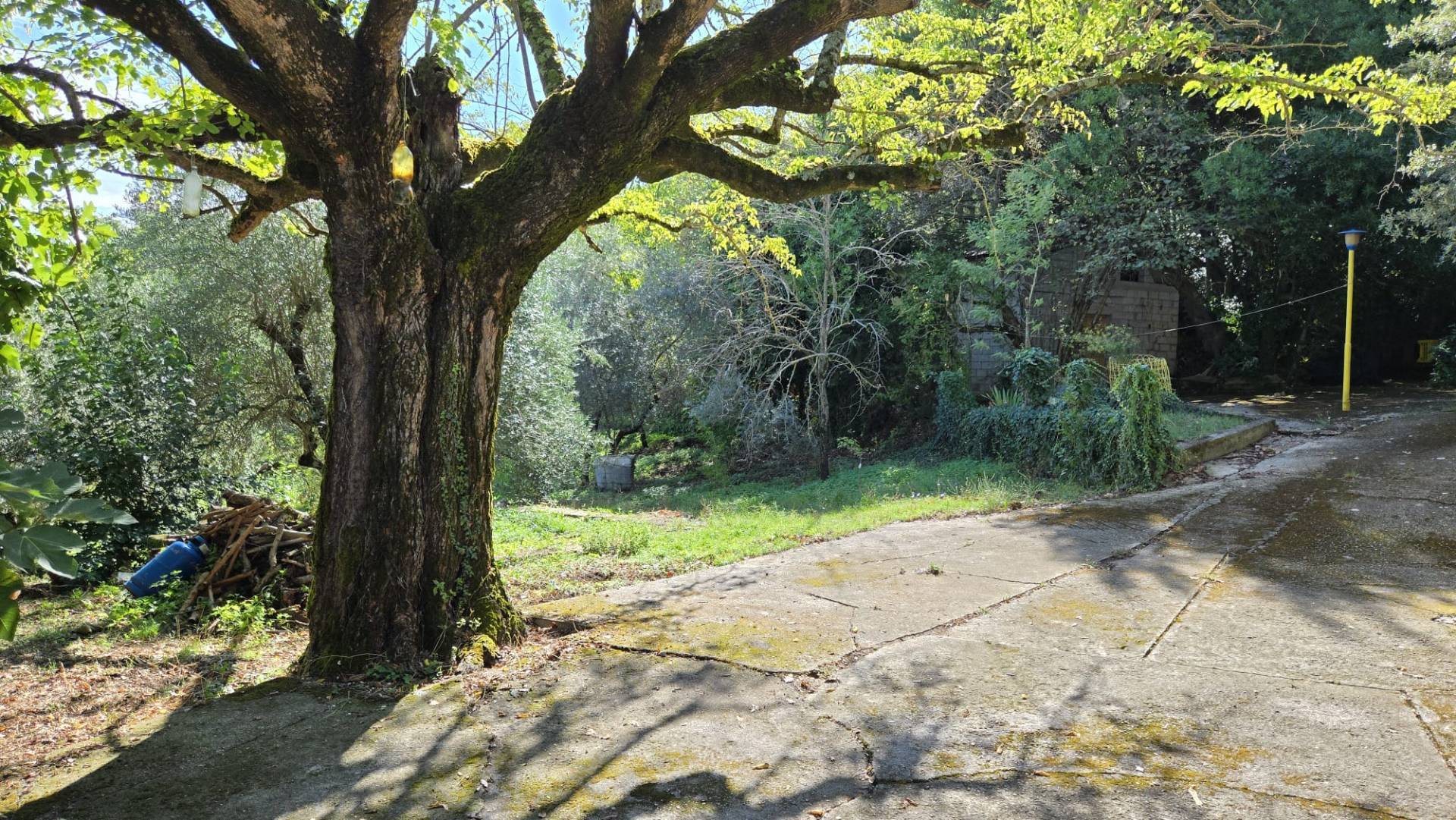 Casa Indipendente in vendita a Chiusano di San Domenico