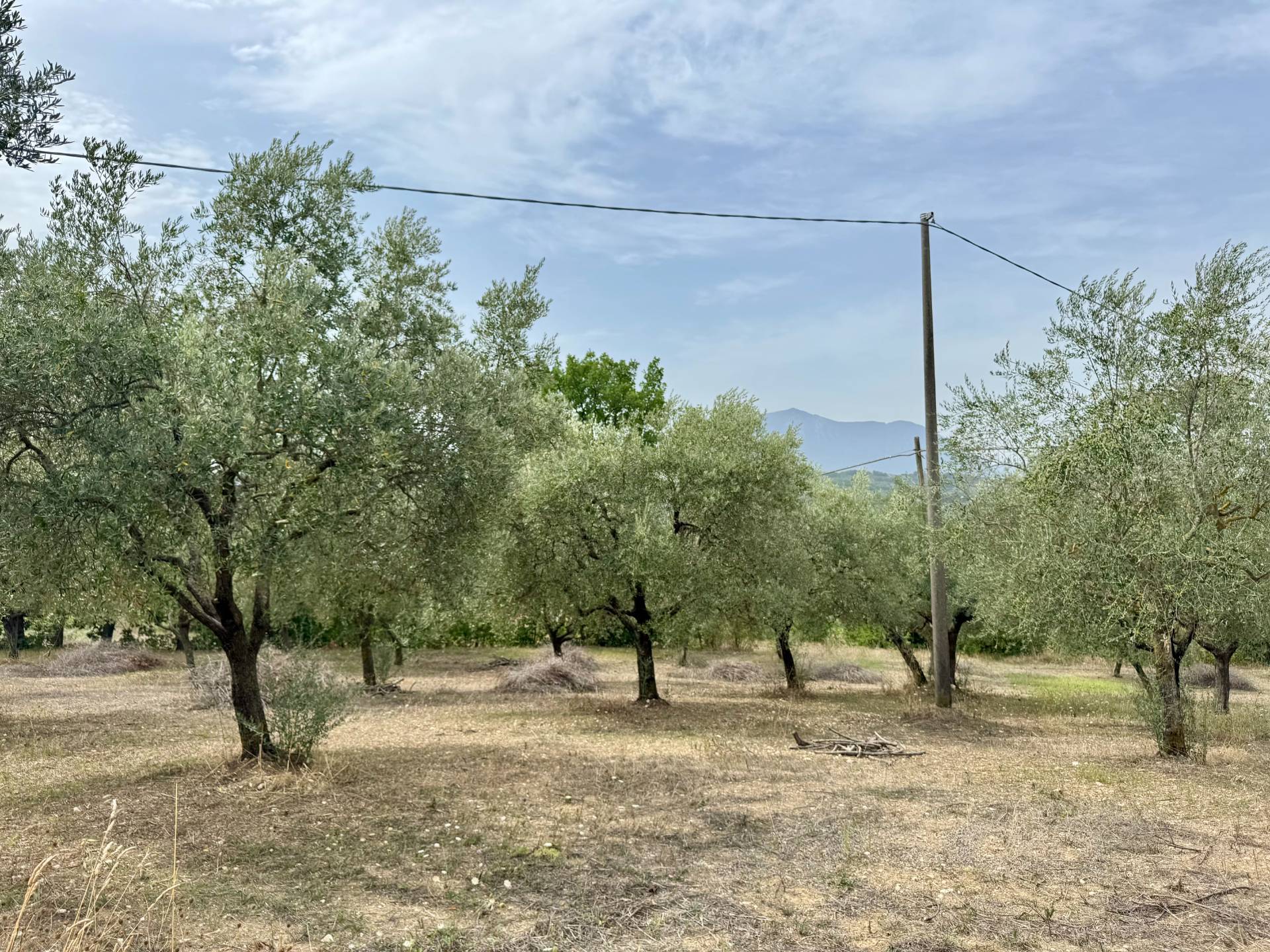 Terreno Agricolo in vendita a Fontanarosa