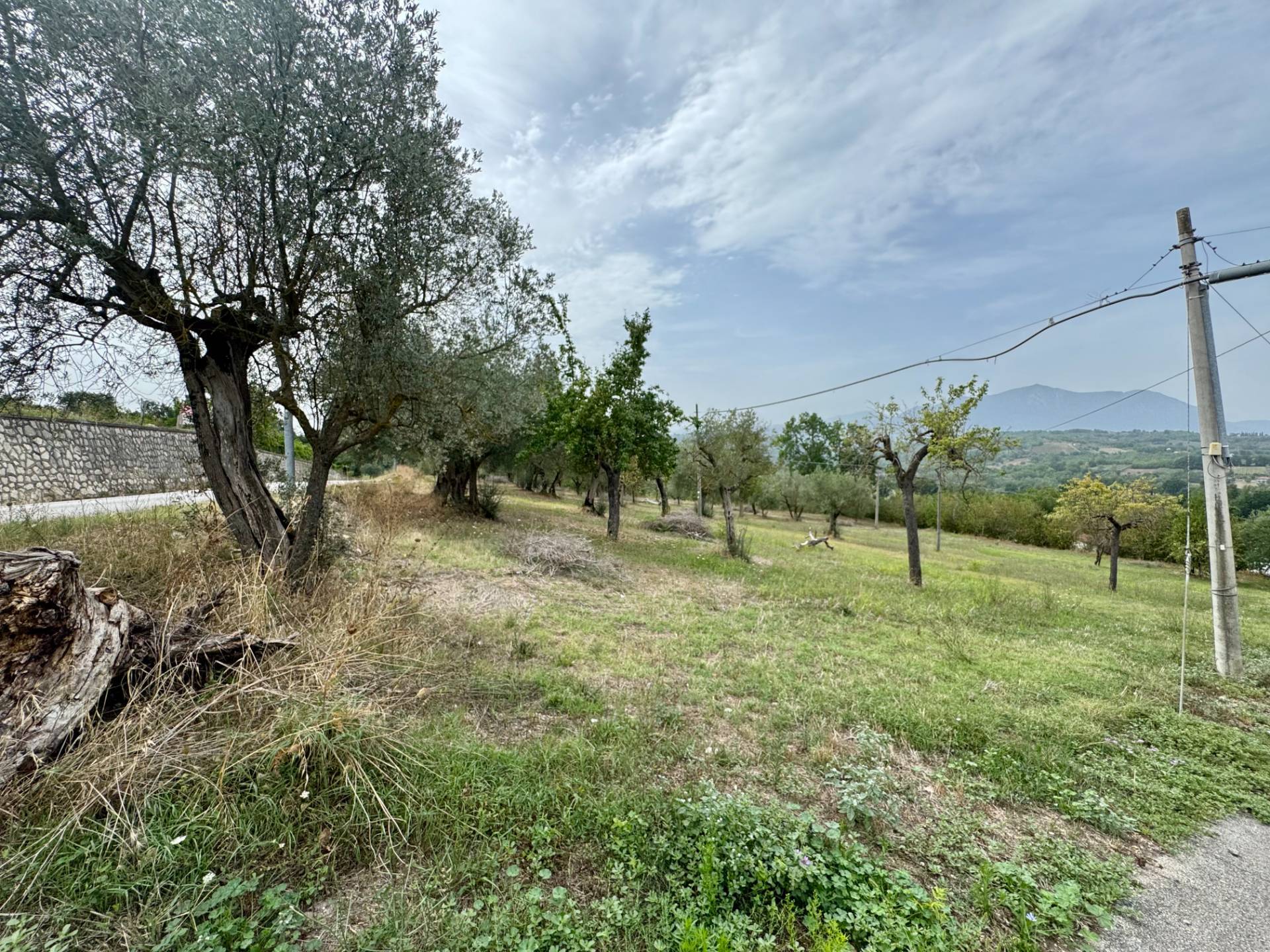 Terreno Agricolo in vendita a Fontanarosa