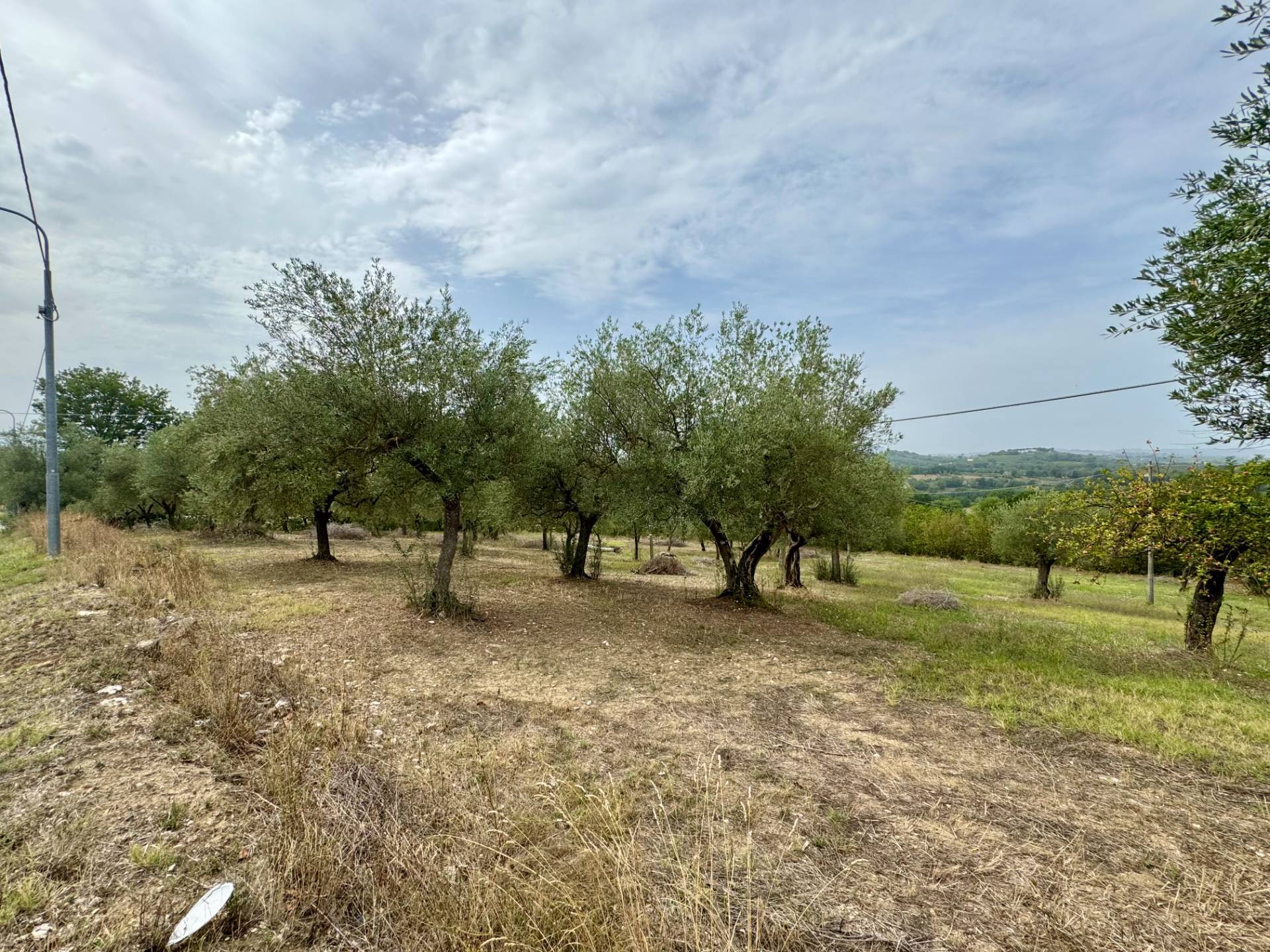 Terreno Agricolo in vendita a Fontanarosa