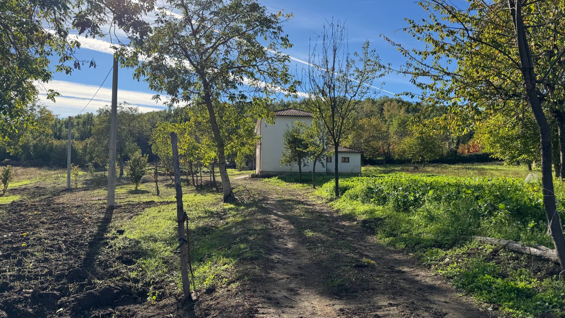Casa Indipendente in vendita a Fontanarosa