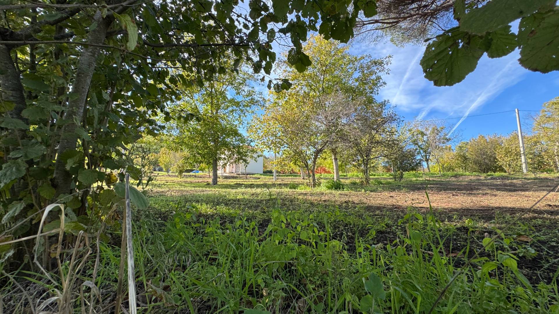 Casa Indipendente in vendita a Fontanarosa