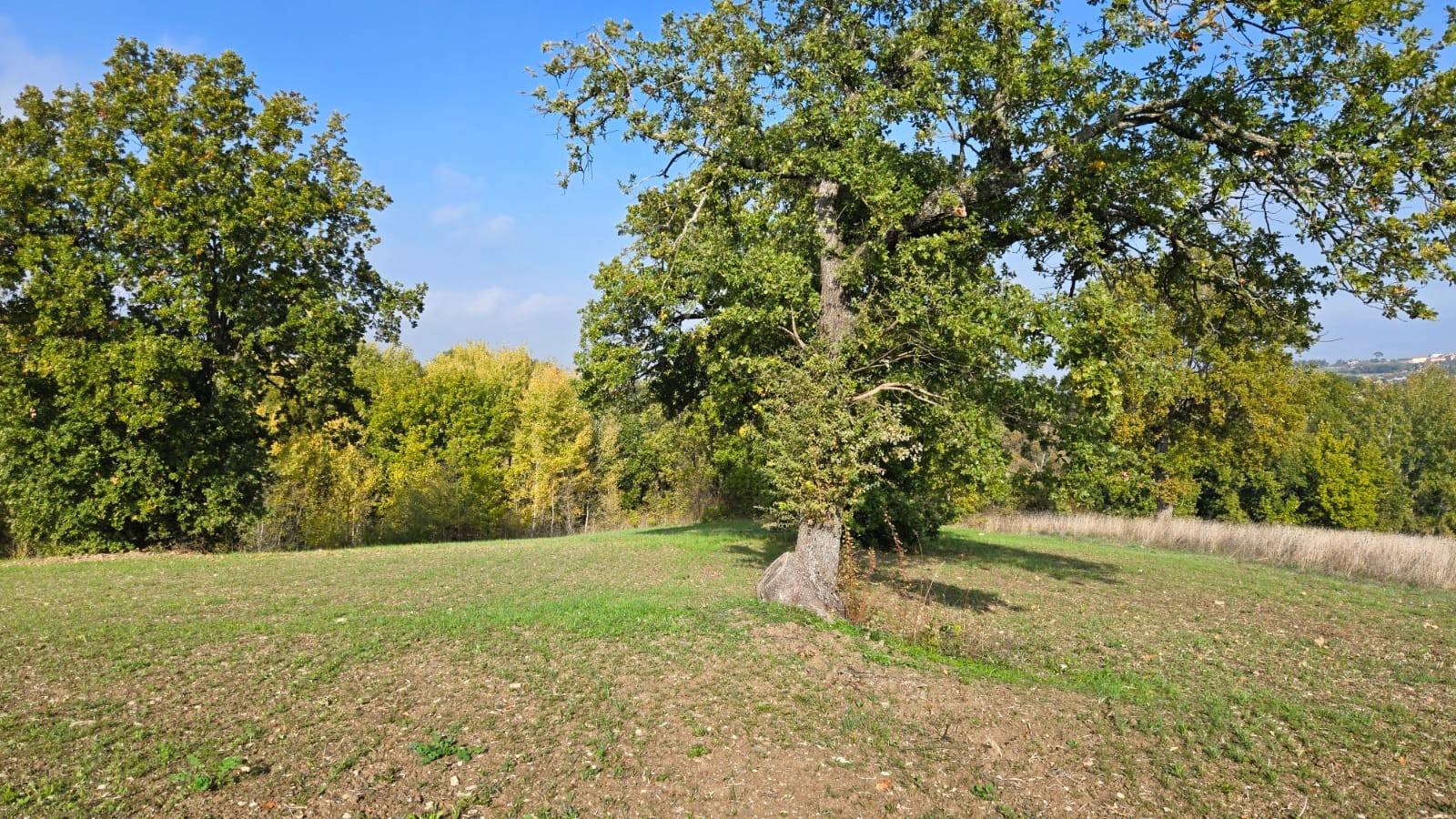 Casa Indipendente in vendita a Torre Le Nocelle