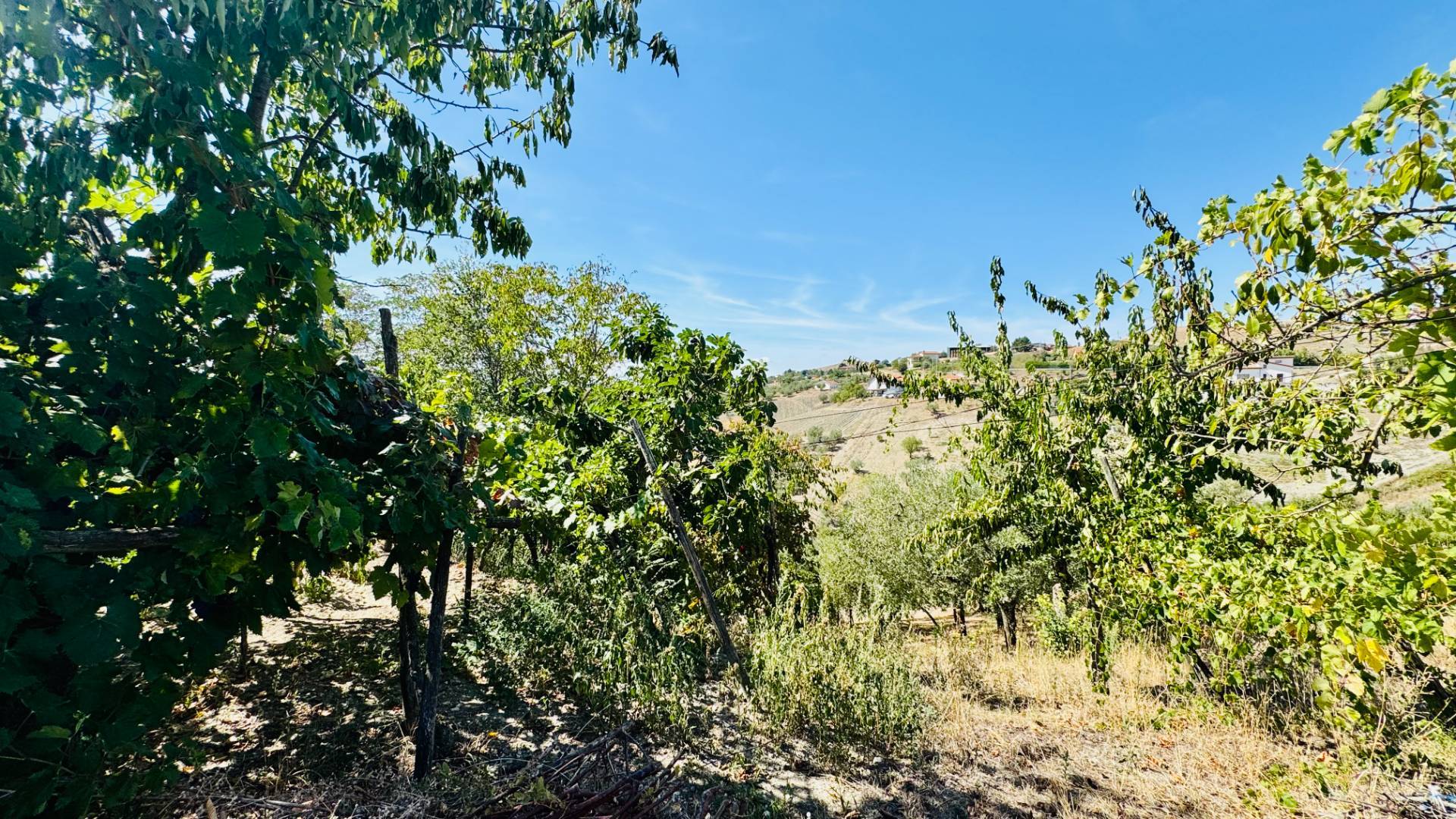 Casa Indipendente in vendita a Ariano Irpino