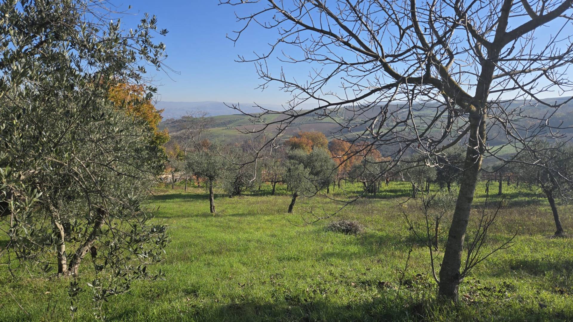Struttura grezza in vendita a Paternopoli