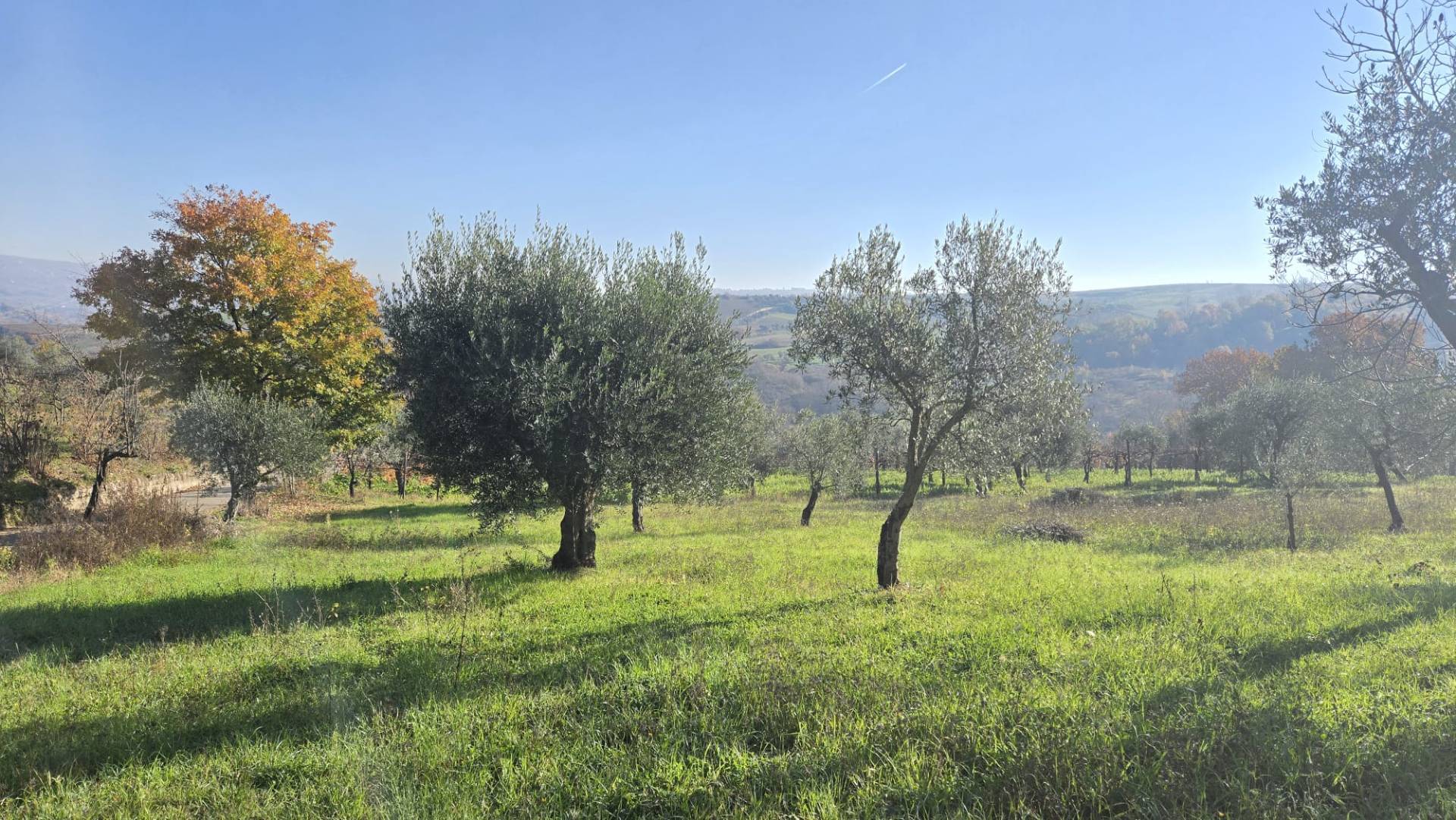 Struttura grezza in vendita a Paternopoli