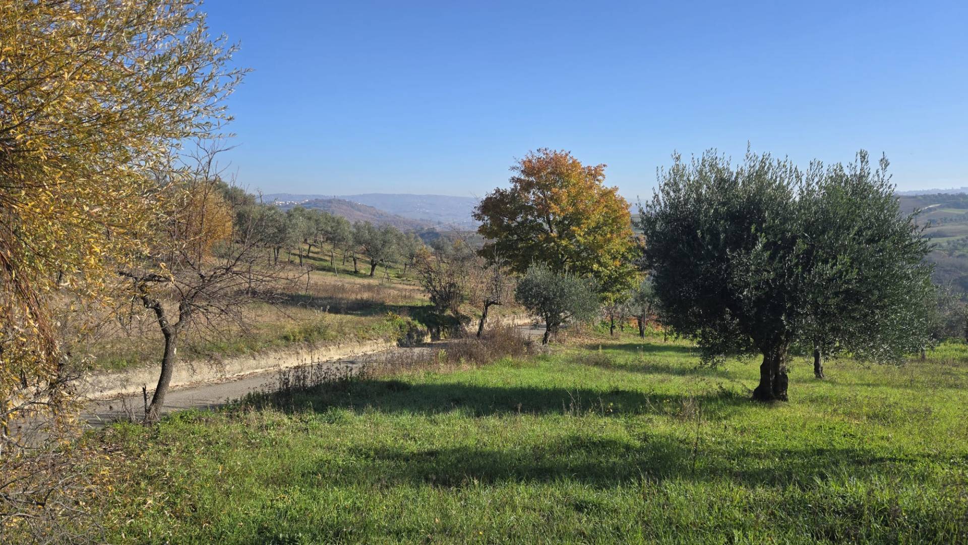 Struttura grezza in vendita a Paternopoli