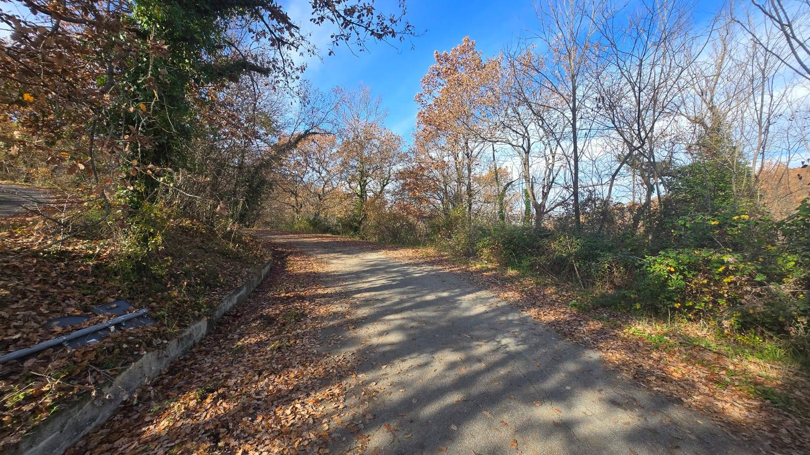 Terreno Agricolo in vendita a Castelvetere sul Calore