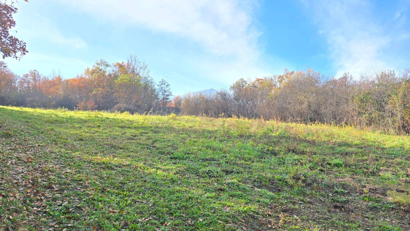 Terreno Agricolo in vendita a Castelvetere sul Calore