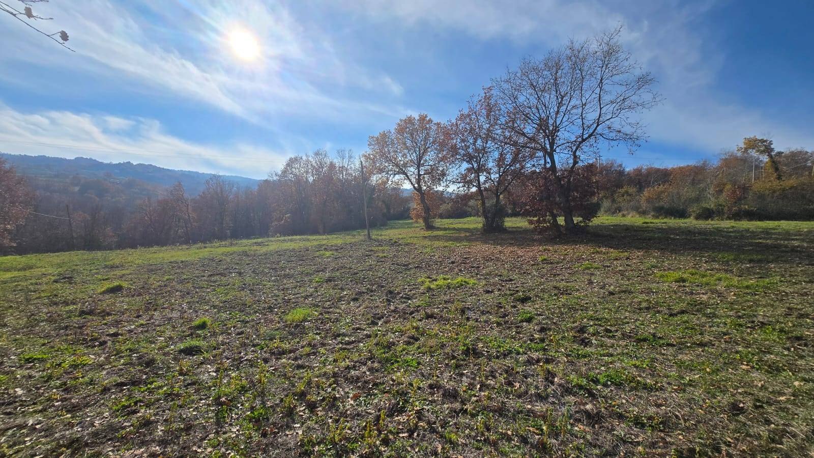 Terreno Agricolo in vendita a Castelvetere sul Calore