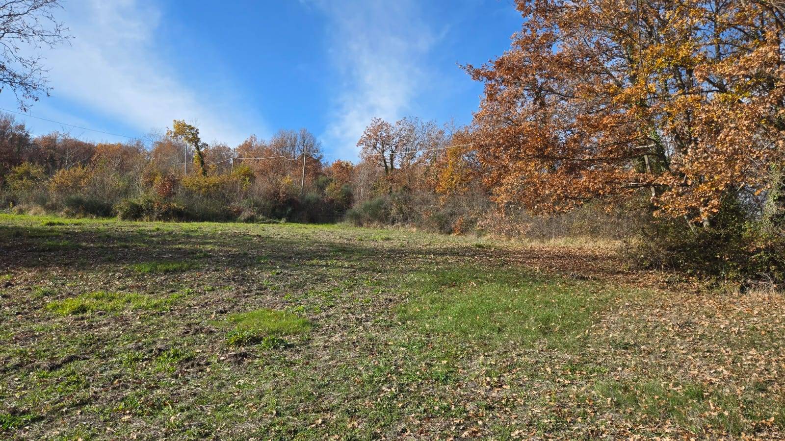Terreno Agricolo in vendita a Castelvetere sul Calore