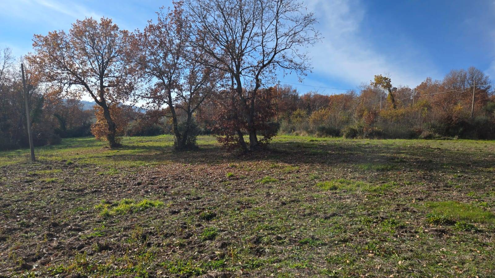 Terreno Agricolo in vendita a Castelvetere sul Calore