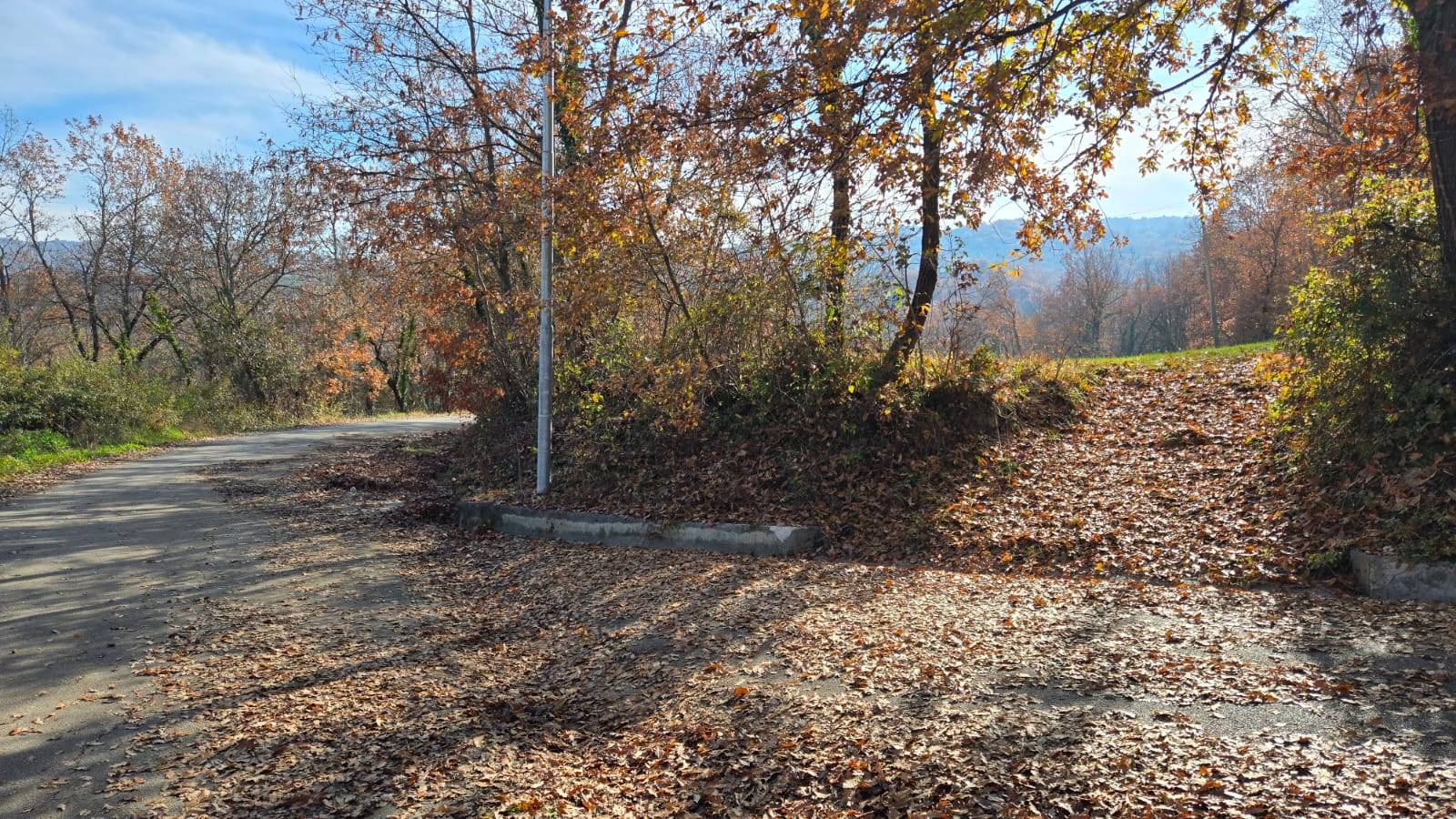 Terreno Agricolo in vendita a Castelvetere sul Calore