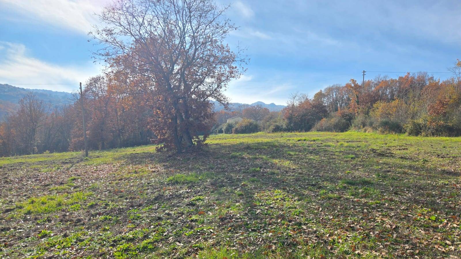 Terreno Agricolo in vendita a Castelvetere sul Calore