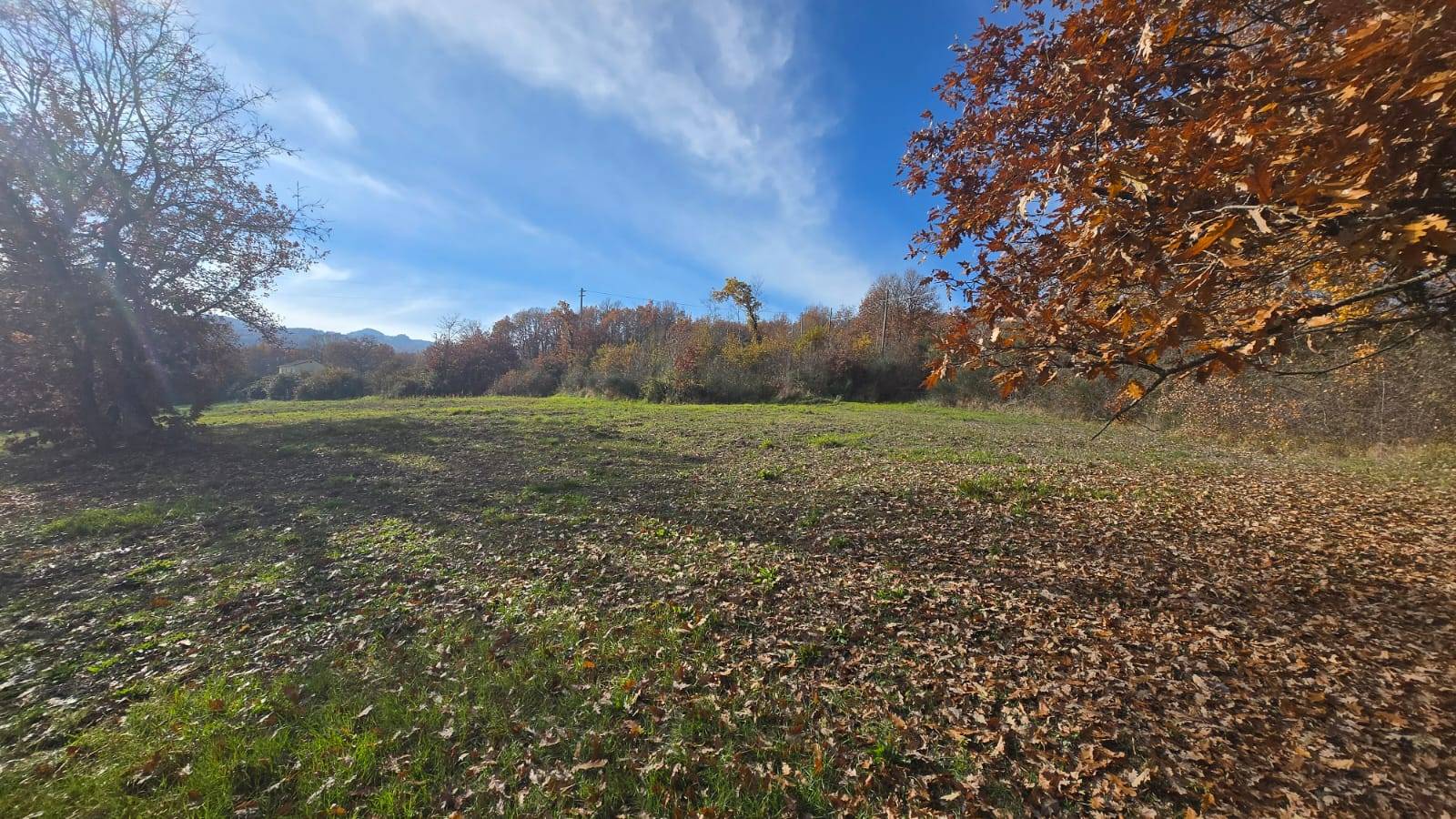 Terreno Agricolo in vendita a Castelvetere sul Calore