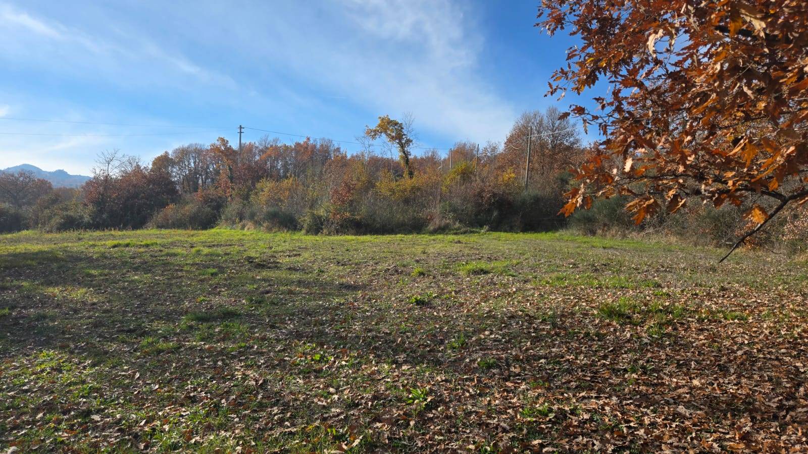 Terreno Agricolo in vendita a Castelvetere sul Calore