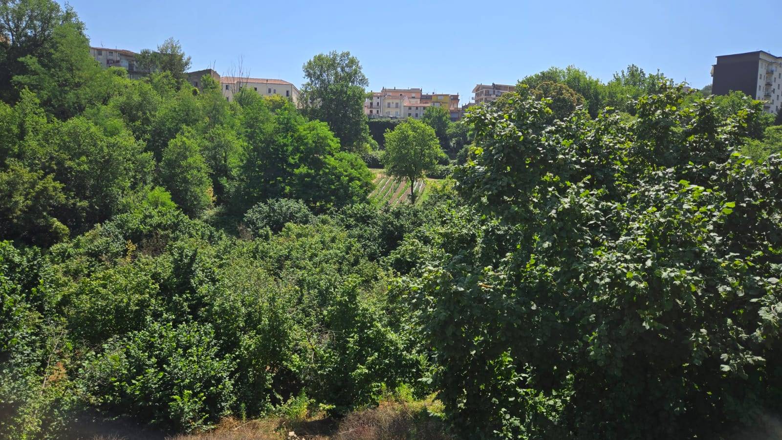 Terreno Agricolo in vendita a Altavilla Irpina