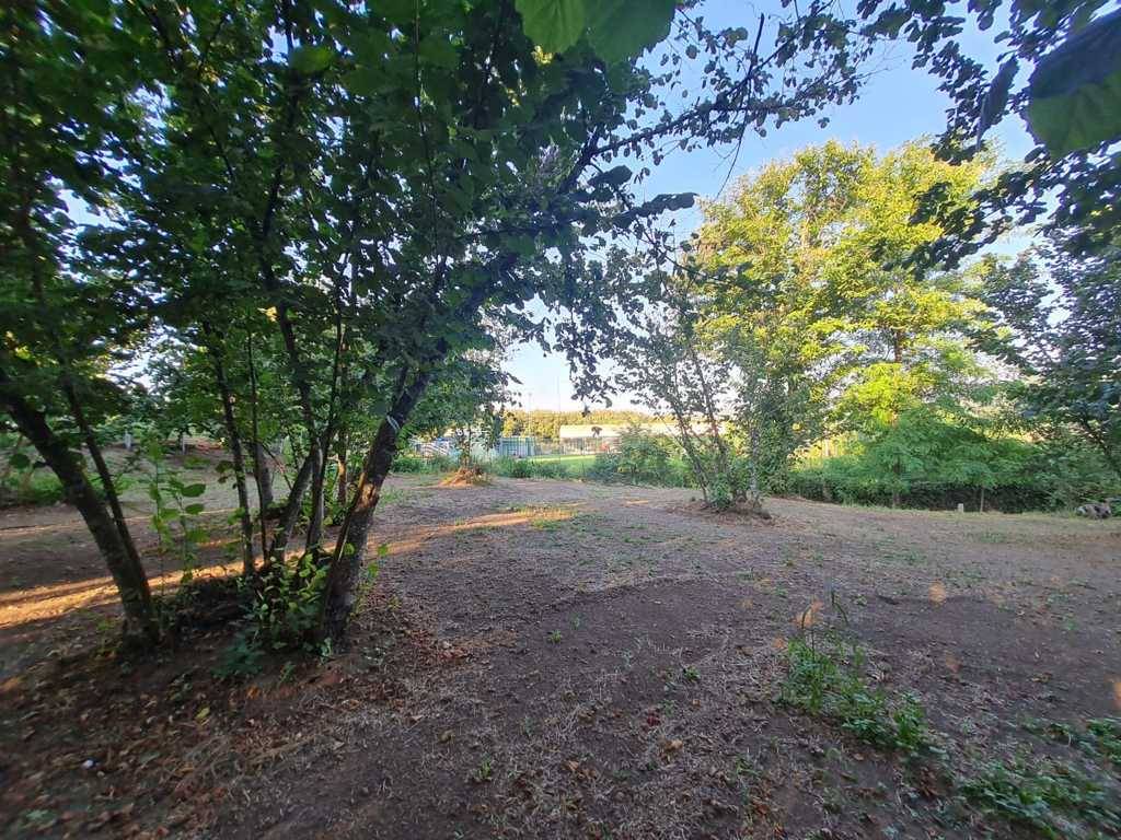 Terreno Agricolo in vendita a Montefredane