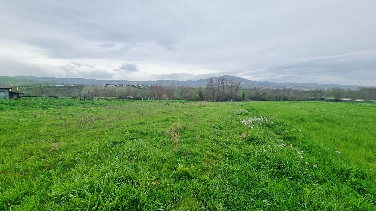 Terreno Agricolo in vendita a Castel Baronia