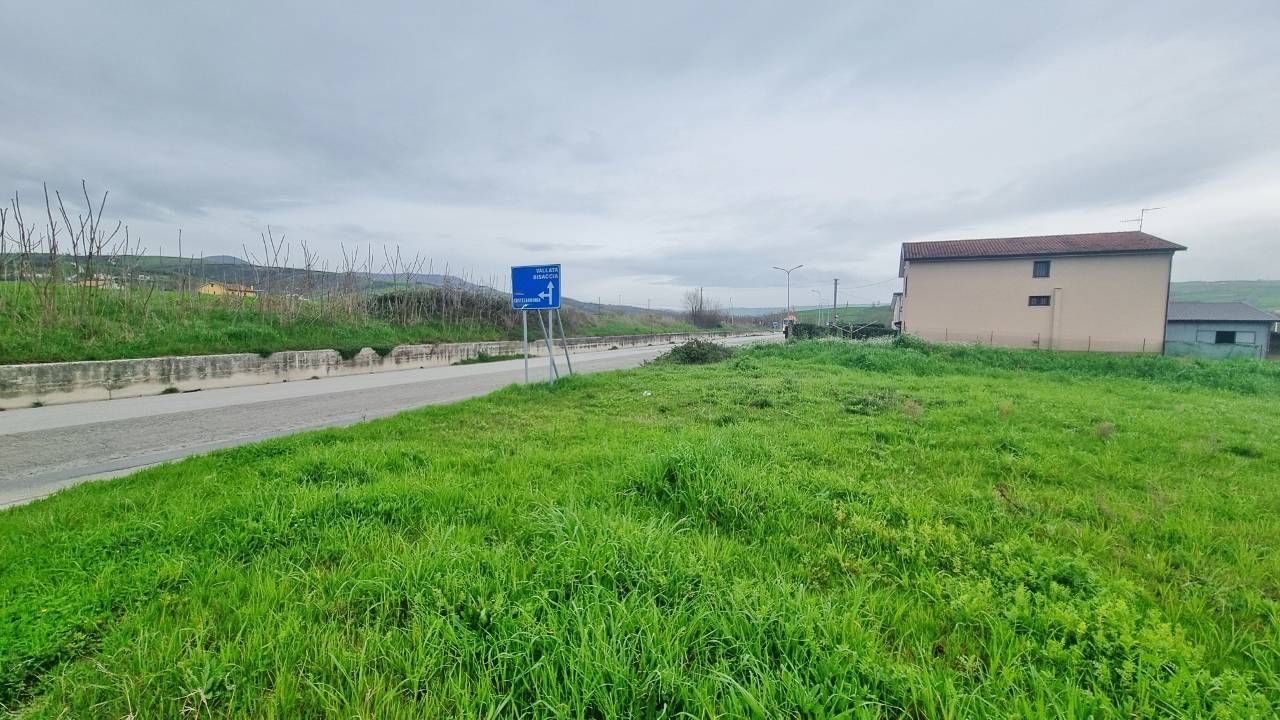 Terreno Agricolo in vendita a Castel Baronia