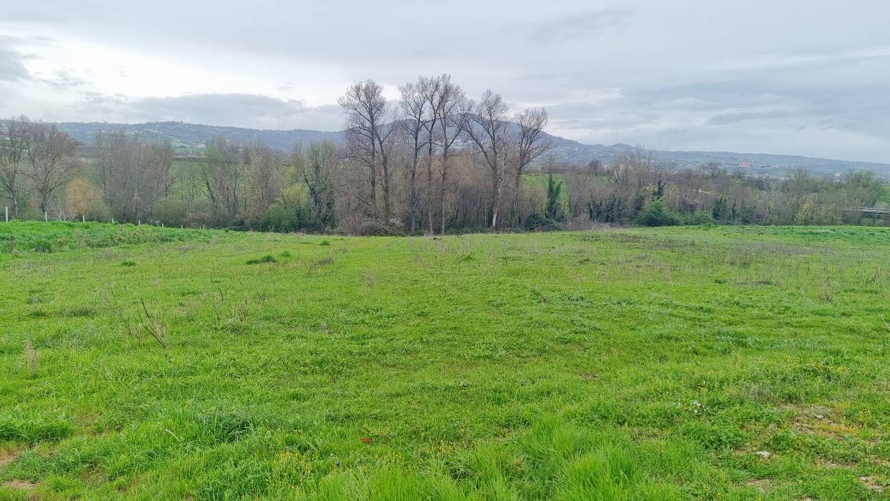 Terreno Agricolo in vendita a Castel Baronia