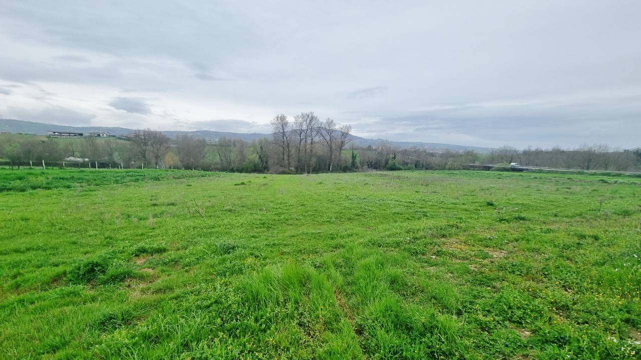 Terreno Agricolo in vendita a Castel Baronia