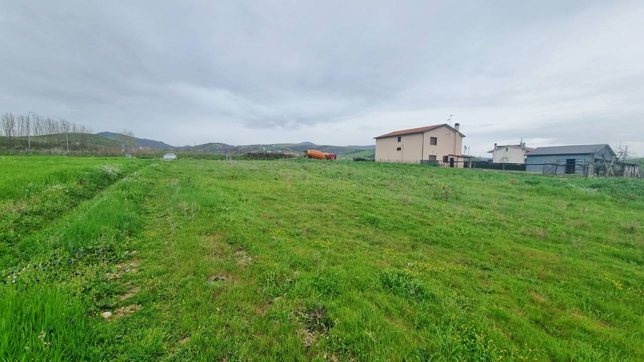 Terreno Agricolo in vendita a Castel Baronia