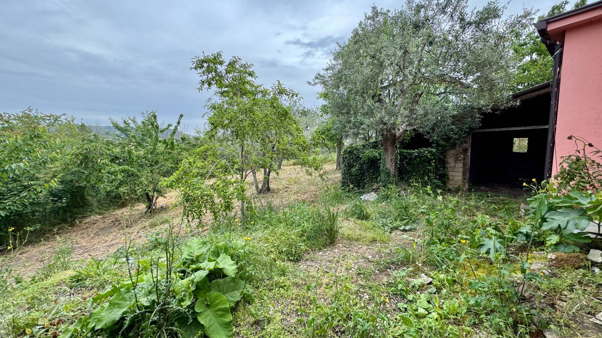 Casa Indipendente in vendita a Apice